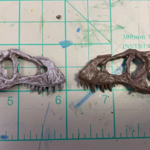 佳作：真骨架色霸王龙