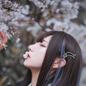 JK少女：樱花树下有你曾经的身影