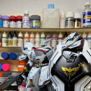 「佳作」Mg卡沙改色涂装范例