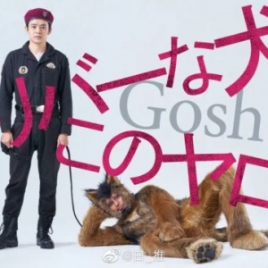 假面骑士：雄介新剧出演警犬，草迦迎来第10回「913祭」