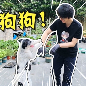 种瓜瓜？新狗狗！搬家一年后，我们的院子变成啥样了？【泛式】