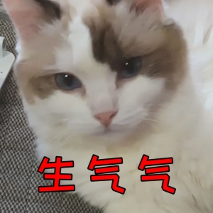 棉花糖：你 是 狗 吧 ！！！