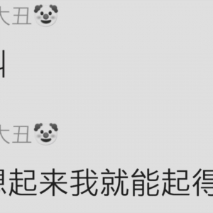 小 丑 见 大 丑