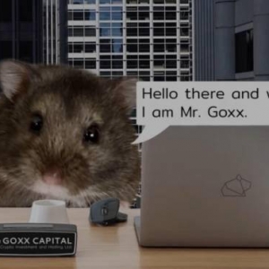 网红投资仓鼠Mr.Goxx去世 投资加密货币回报率25%