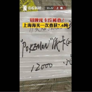 上海浦东机场查获一批重达7.6吨假冒宝可梦卡牌