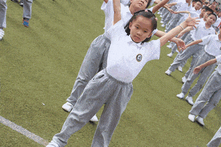 头部的神经中枢系统长这样，奇葩冷知识又增加了