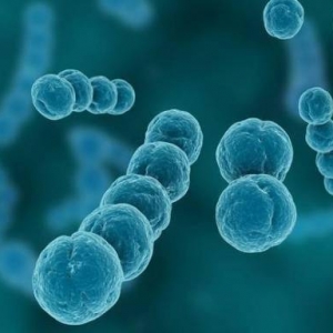 科学家警告外星微生物可能附着在人类飞船返回地球