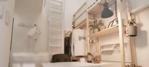 日本10平米住宅体验招租 设施家具齐全 月租仅需6元