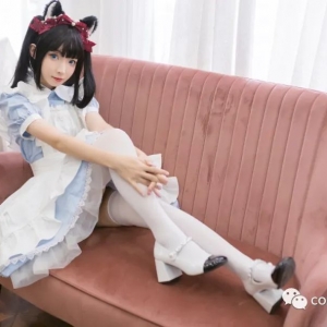 女仆猫猫：谁能拒绝毛茸茸的小可爱呢