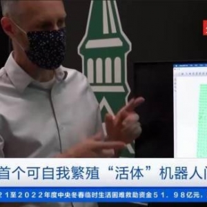 全球第一个可自我繁殖活体机器人问世 全球首个可自我繁殖活体机器人外型参考电子游戏 ...