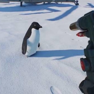 《战地2042》企鹅原来是机械的？！神奇BUG笑死玩家