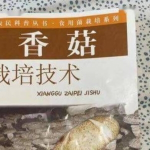 定价3.6元的书卖210元 当当客服回应：绝版书 会升值