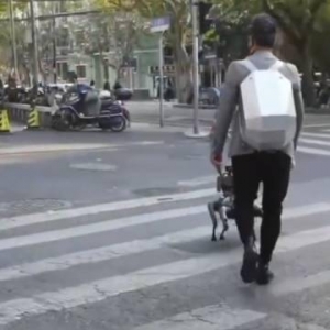 上海街头有市民遛“机械狗”！小米“铁蛋”正式出圈