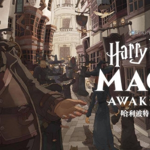 《哈利波特：魔法觉醒》哈利赫敏第一周殿堂心得