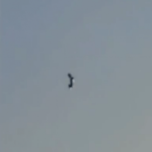 中国香港维港上空惊现“不明飞行物”：高度非同寻常