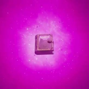 TGA21：《小缇娜的奇幻之地》新预告 22年3月25日发售