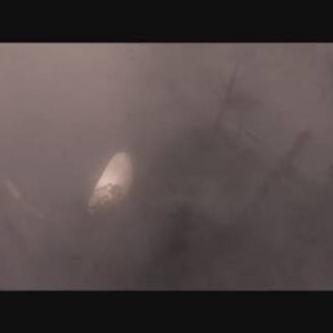 庵野秀明《新奥特曼》电影新特报影像 22年5月13日上映