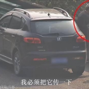 男子高速违停路边办公：竟因需要紧急传送一个文件