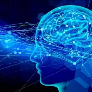 科学家训练混合芯片中脑细胞打乒乓 学习速度远胜过AI