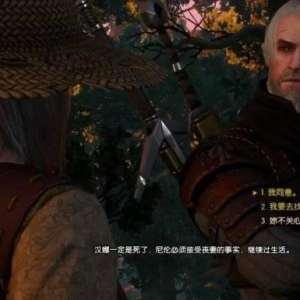 盘点《巫师3》中那些黑深残的支线