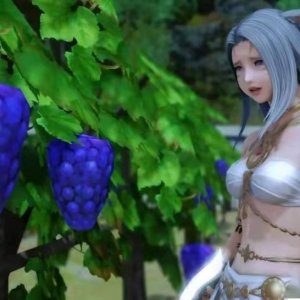 《最终幻想14》更新 多边形葡萄修复