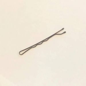 交换挑战！美国女子用发夹换到房子：28次以物换物