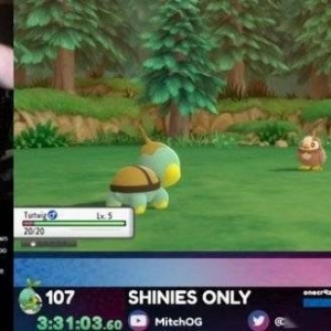 欧爆了！《宝可梦：PDSP》直播惊现两只闪光宝可梦