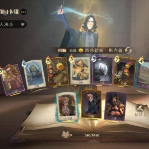 《哈利波特：魔法觉醒》彩虹小马斯内普双排分享