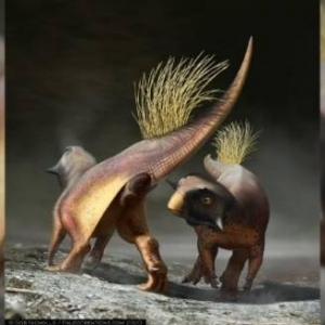 2021十大恐龙神奇发现：“鲨鱼齿”恐龙比霸王龙更大