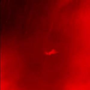 《新蝙蝠侠》中国台湾定档海报公开！比北美早上映