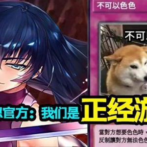 对魔忍募集同人作品，因为要求过于健全被人吐槽！