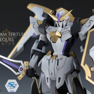 化身正派帝提姆继承机，帝提姆高达骑士型