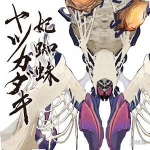 《怪物猎人：崛起》一组“妃蜘蛛”相关设定图公布