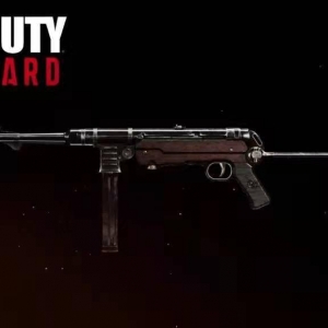 《使命召唤：战区》新一轮枪械排行名单公布