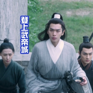 徐凤年登上武帝城，袁庭山和红甲联手，却被赵宣素轻松化解！ ...