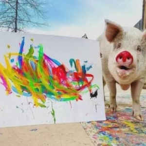 开过画展的网红“猪加索”！最新画作卖出近2万英镑