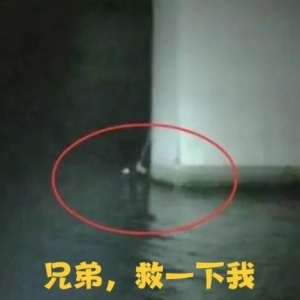男子为情所困跳河后因水太冷求救！大喊：兄弟救我一下