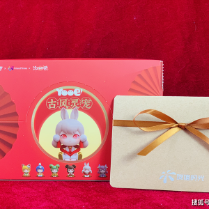 直男收到了一套小仙女最爱的礼盒