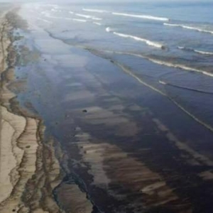汤加火山爆发致秘鲁油轮泄漏：大面积海滩已被污染