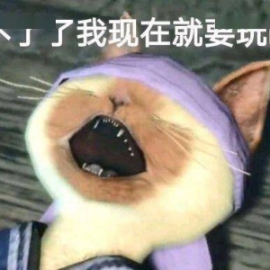 槽点挖掘机：大量金钱豹入侵，捅了豹子窝了