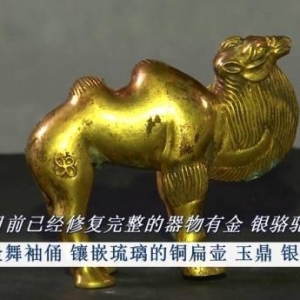 2021年最新考古成果：秦始皇陵新发现大量珍贵文物