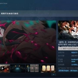特别好评！国风动作rogue《暖雪》：爽快但有点短