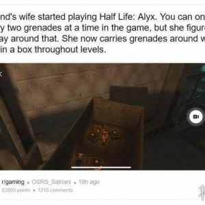 《半条命：爱莉克斯》人妻玩家突发奇想打破游戏设置