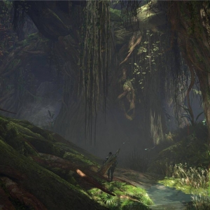 传闻称微软正在开发《怪物猎人》风格合作游戏