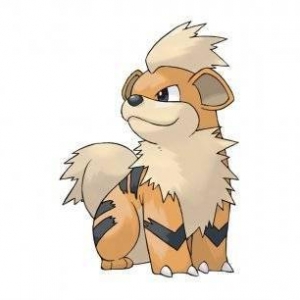 你想和谁搭档？日网评选最想成为伙伴的宝可梦TOP10