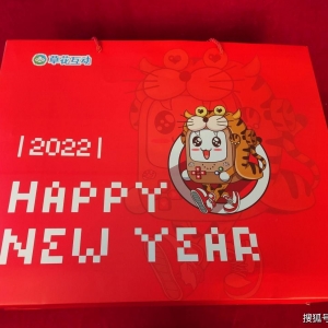 游戏日报潮玩2022新春开箱：草花互动虎年自带“元气虎”