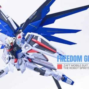 成品再加工，ROBOT魂自由高达走线渗线上水贴