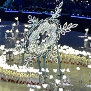 冰墩墩找不到，全网最快的冬奥“和平鸽”来了？白送了几百万人 ...