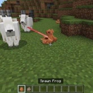 我的世界青蛙一口吞山羊 我的世界开发者回应青蛙吃山羊