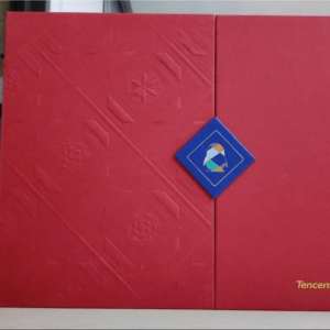 307张展示图，看看别人家的“春节礼盒”长什么样